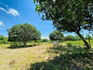 .1.05 Acres of Prime Roadside Land in the Airport Residential Area