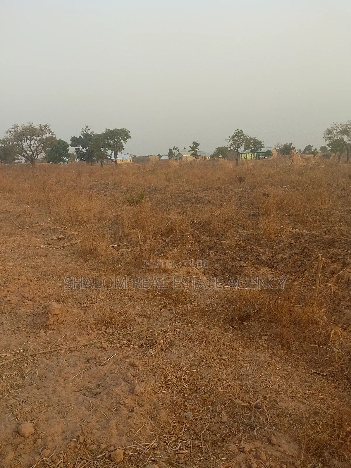 An Acre of Land by the Maguli-Zunjung Road for Sale