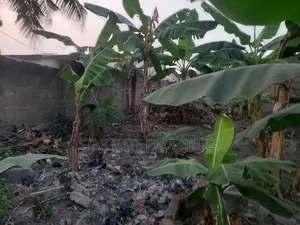 Plot for Sale at Kenyasi/ Buobai ( 3rd Plot Main Road)