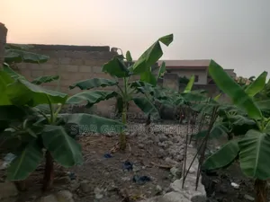 Plot for Sale at Kenyasi/ Buobai ( 3rd Plot Main Road)