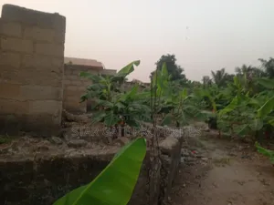 Plot for Sale at Kenyasi/ Buobai ( 3rd Plot Main Road)