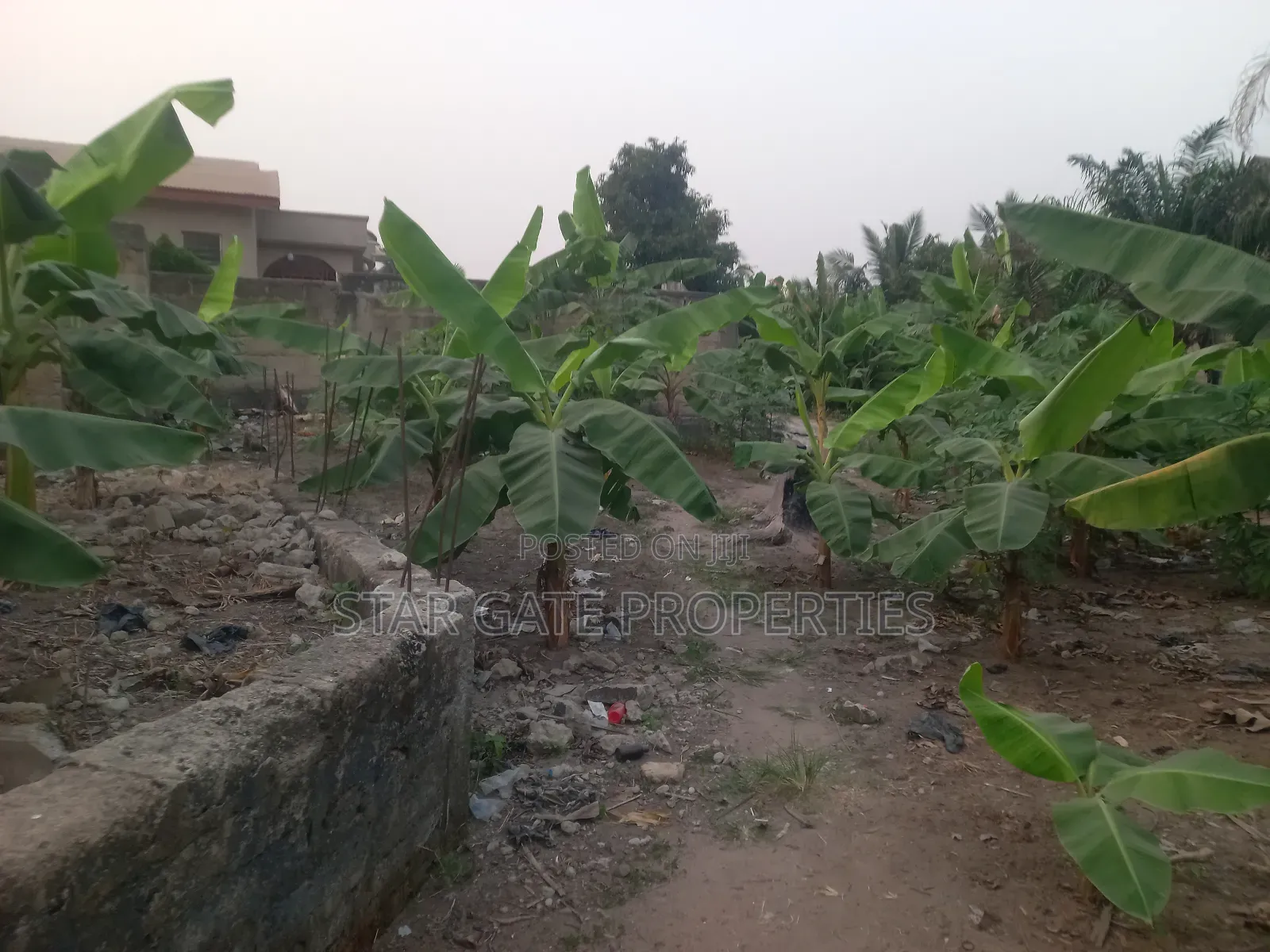 Plot for Sale at Kenyasi/ Buobai ( 3rd Plot Main Road)