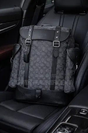Authentic Coach and Lv Bag-Packs