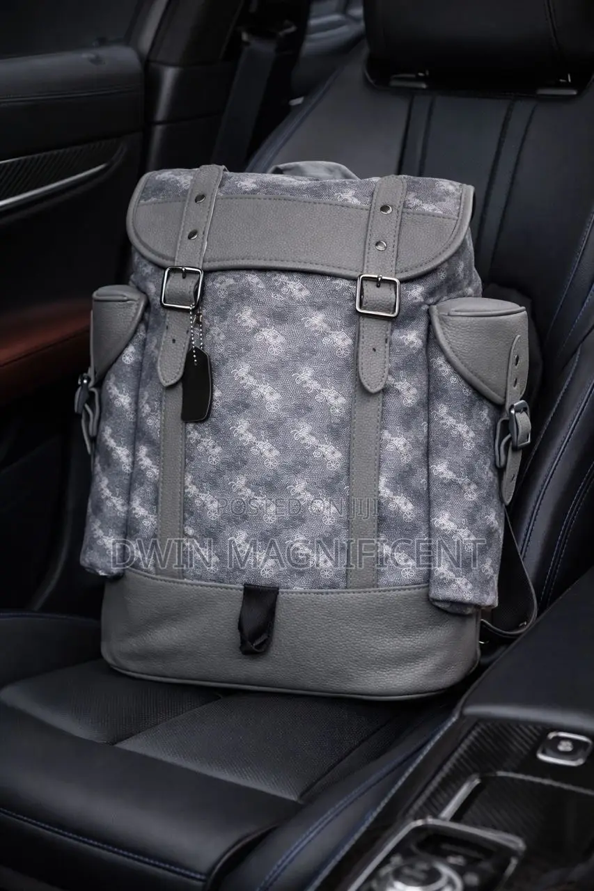 Authentic Coach and Lv Bag-Packs