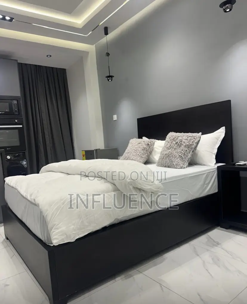 Furnished 1bdrm Apartment in Palace Mall Area, Spintex for rent