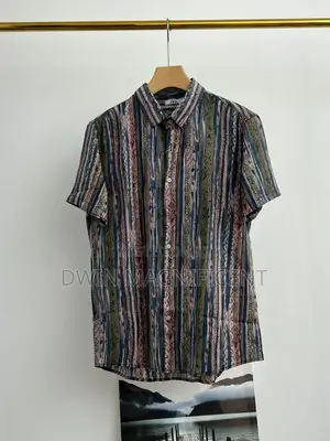 Zara Premium Vintage Short Sleeve