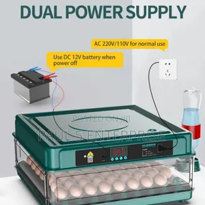 72eggs Incubator Wholesale and Retail Fully Automated With Dual Power