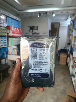 1tb Surveillance Hard Drive
