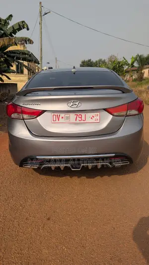 Hyundai Elantra SE Coupe FWD (1.8L 4cyl 6A) 2013 Gray