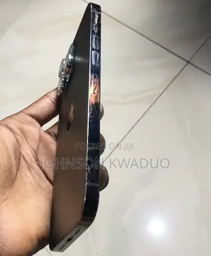 Apple iPhone 13 Pro Max 256 GB Black