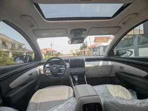 Hyundai Tucson Limited 2024 Gray