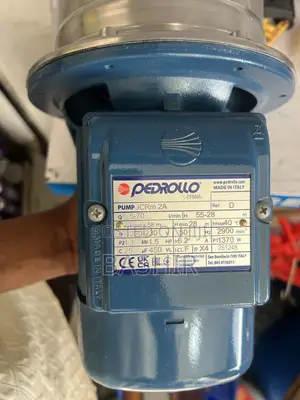 1.5hp Pedrollo Water Pump