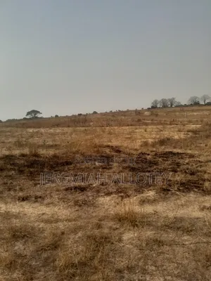 Area Everyone Wants to Purchase Land, Tsopoli