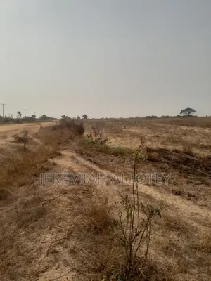 We Are the Masters in Land Sales, Buy Our Tsopoli Land Today