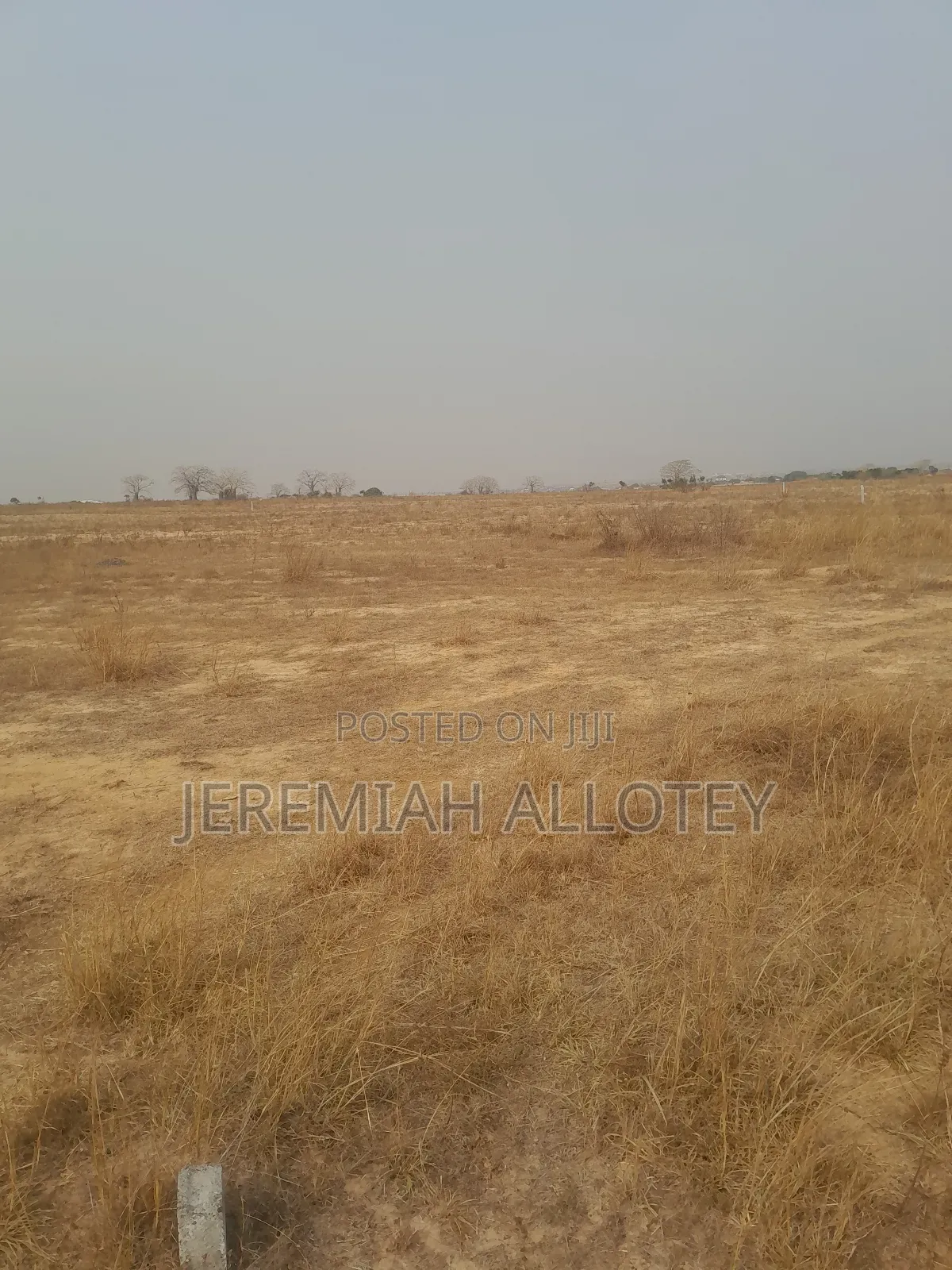Well Demarcated Area Lands for Sale in Tsopoli
