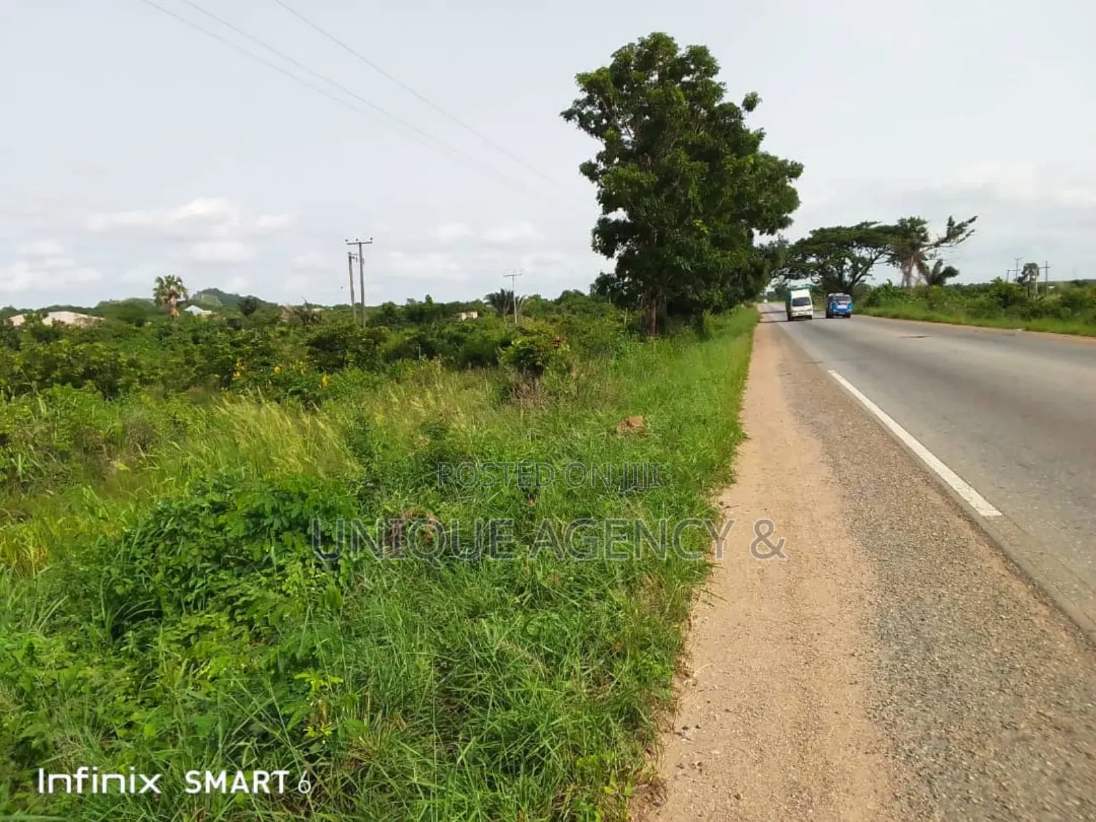 Land for Sale Transaco Springs