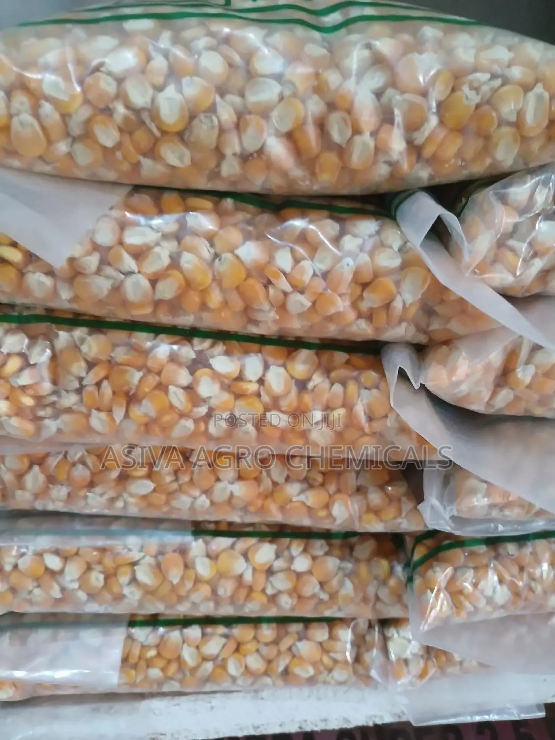 Certified Planting Maize Seeds (Obatanpa, Honampa)
