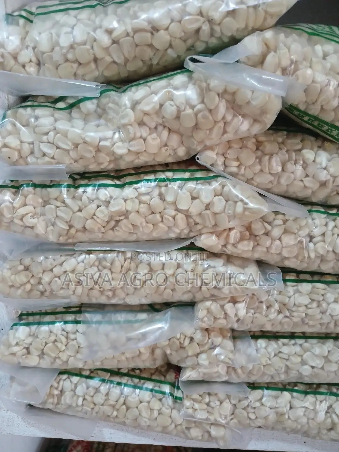 Certified Planting Maize Seeds (Obatanpa, Honampa)