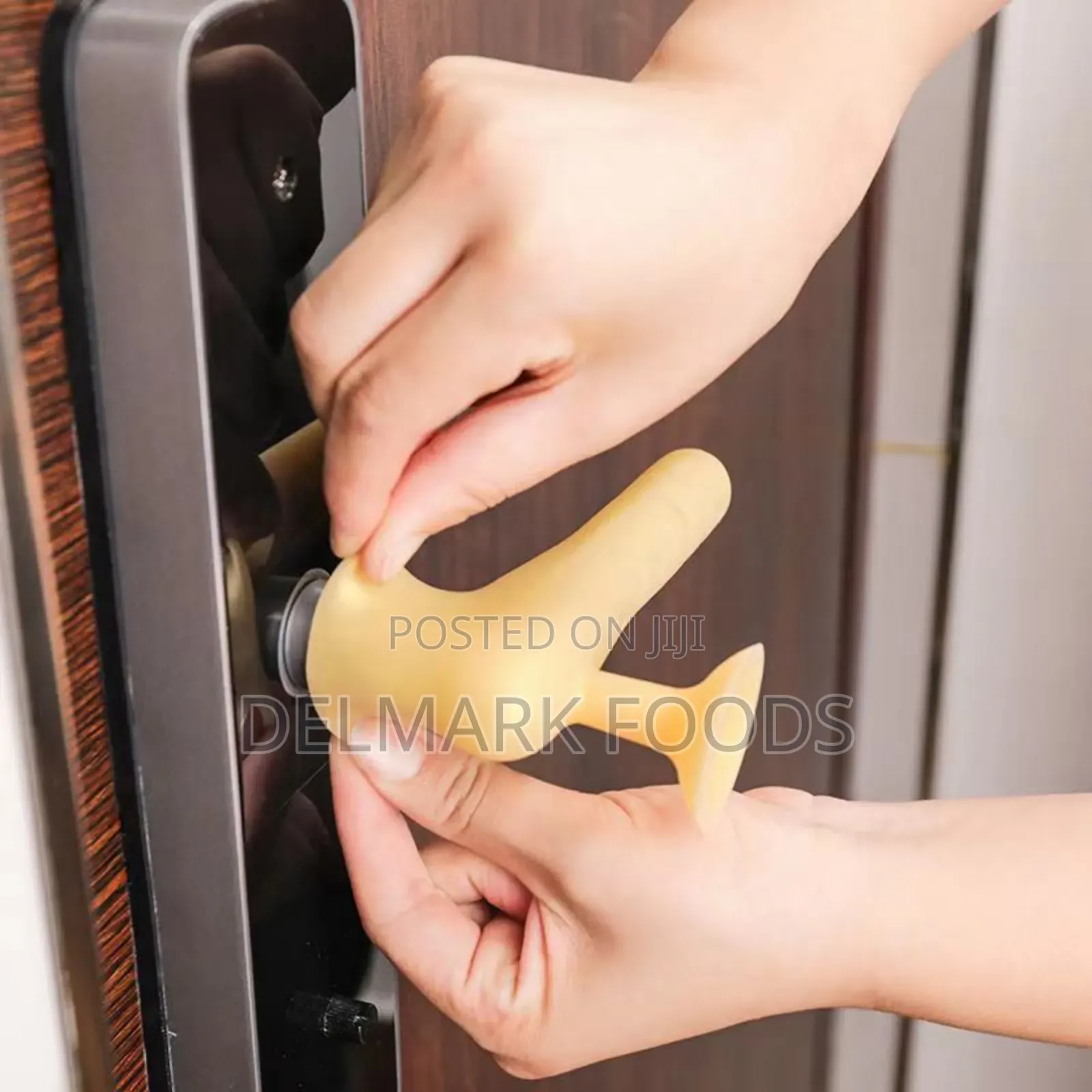 Door Handle
