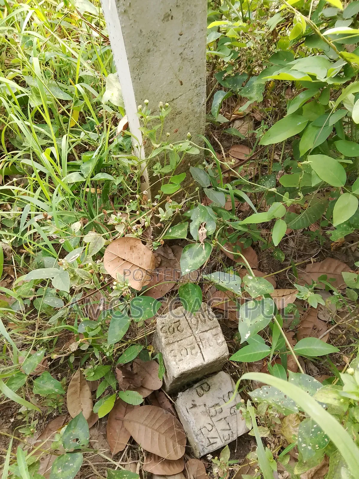 Plots at Syn Agenda 111 Hospital/Ringe-Road