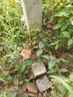 Plots at Syn Agenda 111 Hospital/Ringe-Road