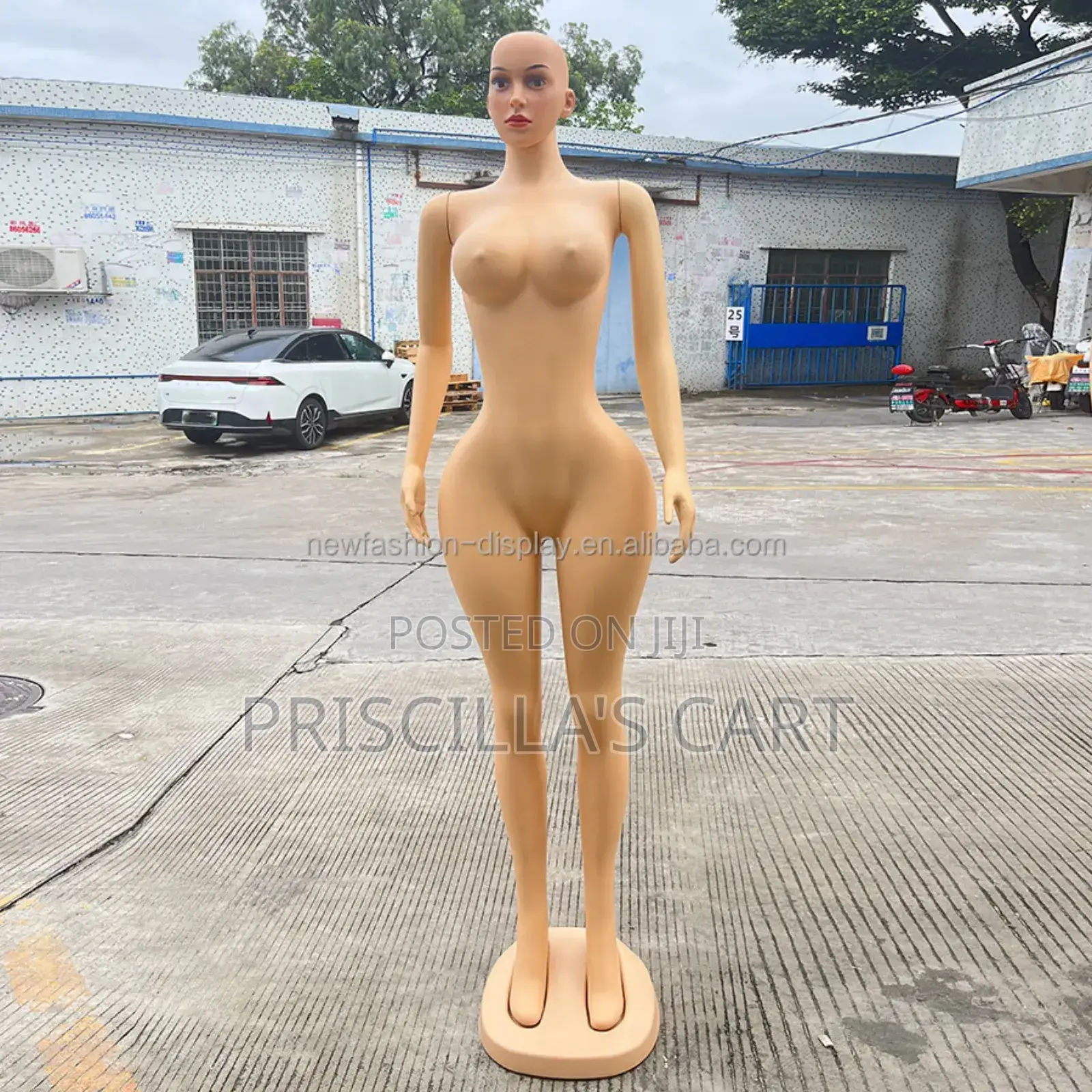 Quality Female Mannequins( Bbl, Torso, Pinnable Mannequins )