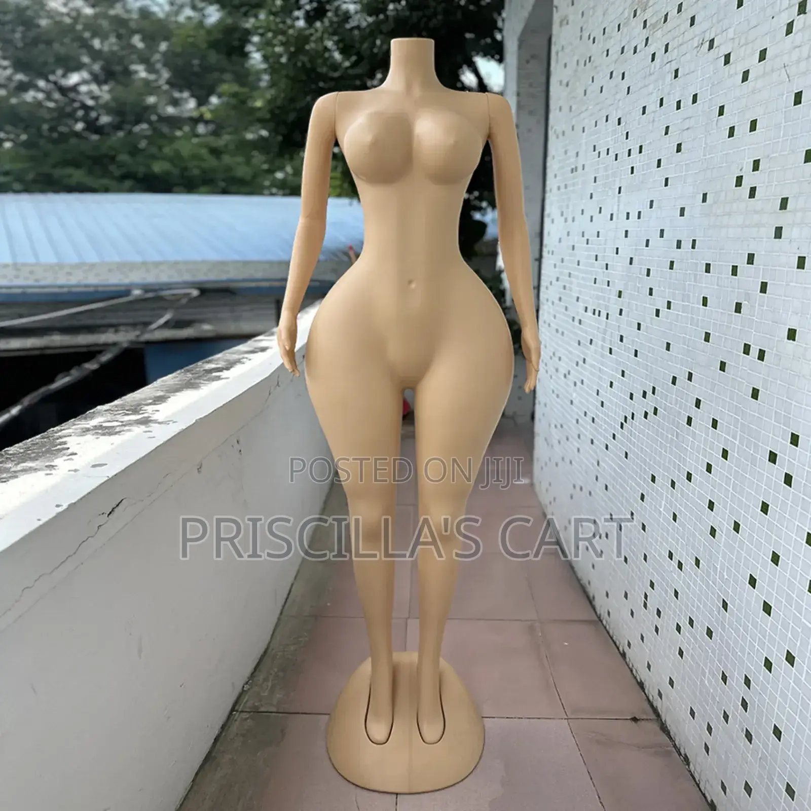Quality Female Mannequins( Bbl, Torso, Pinnable Mannequins )