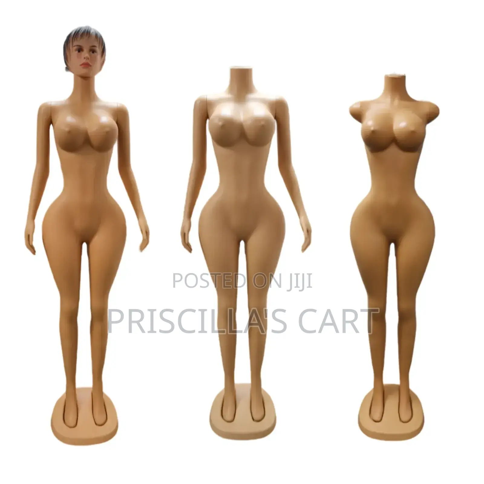 Quality Female Mannequins( Bbl, Torso, Pinnable Mannequins )