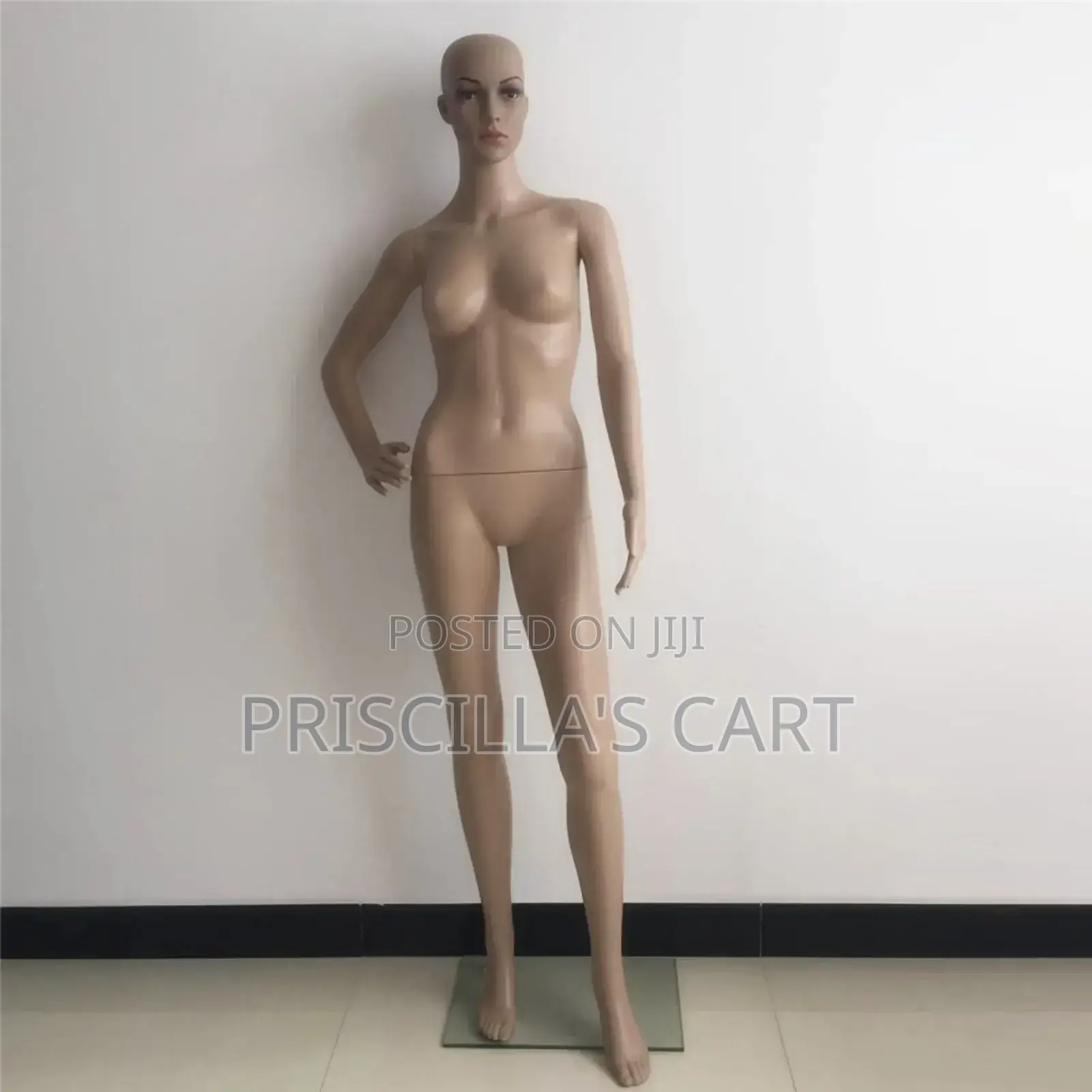 Quality Female Mannequins( Bbl, Torso, Pinnable Mannequins )