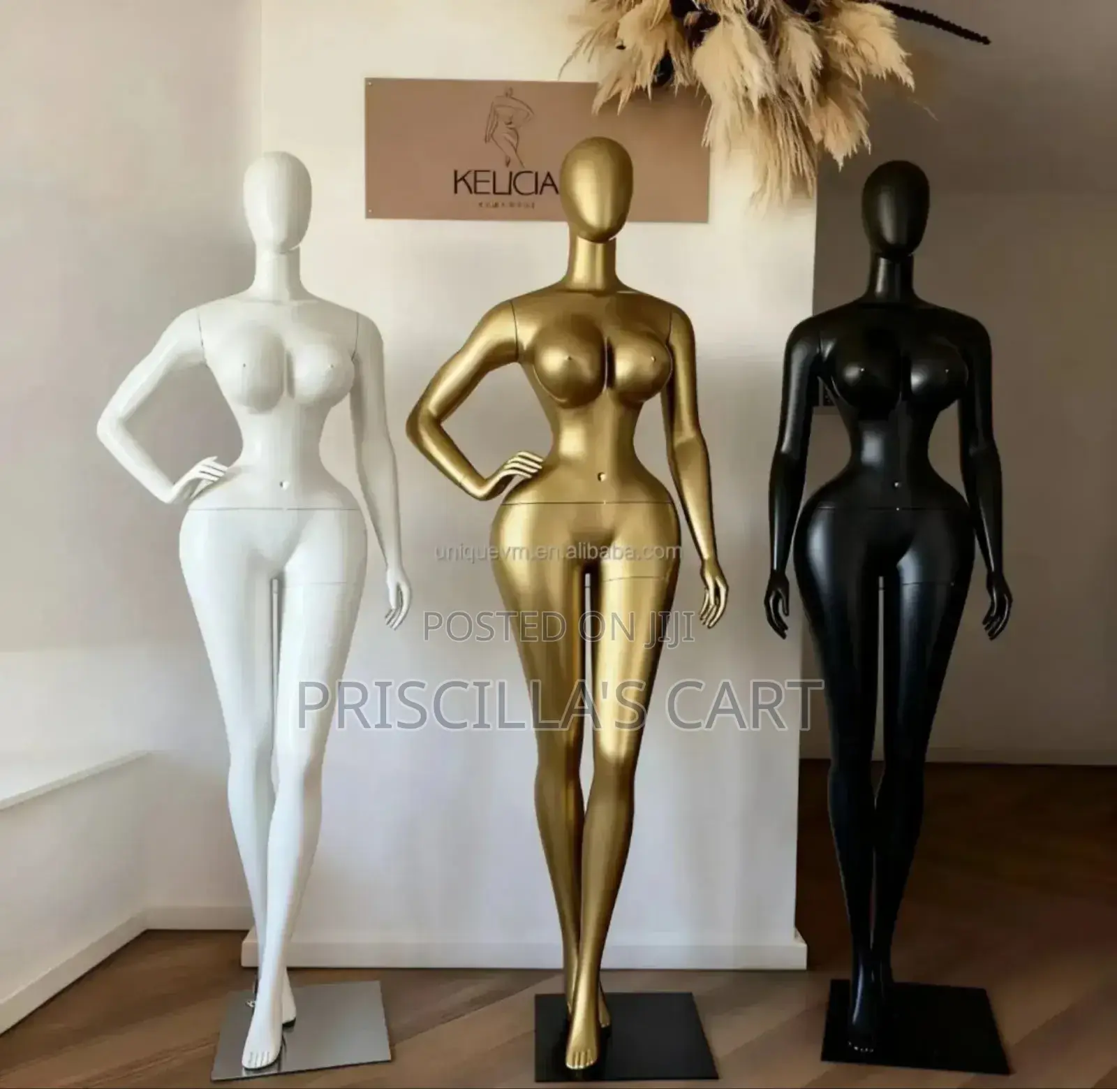 Quality Female Mannequins( Bbl, Torso, Pinnable Mannequins )