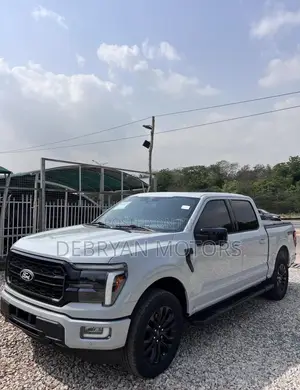 Ford F-150 LARIAT 2024 Gray