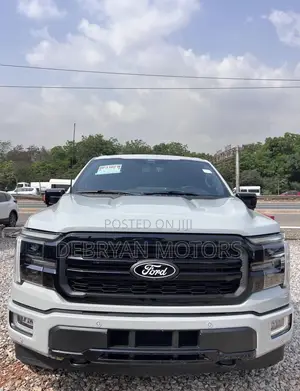 Ford F-150 LARIAT 2024 Gray