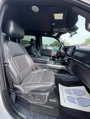 Ford F-150 LARIAT 2024 Gray