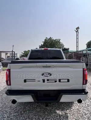 Ford F-150 LARIAT 2024 Gray