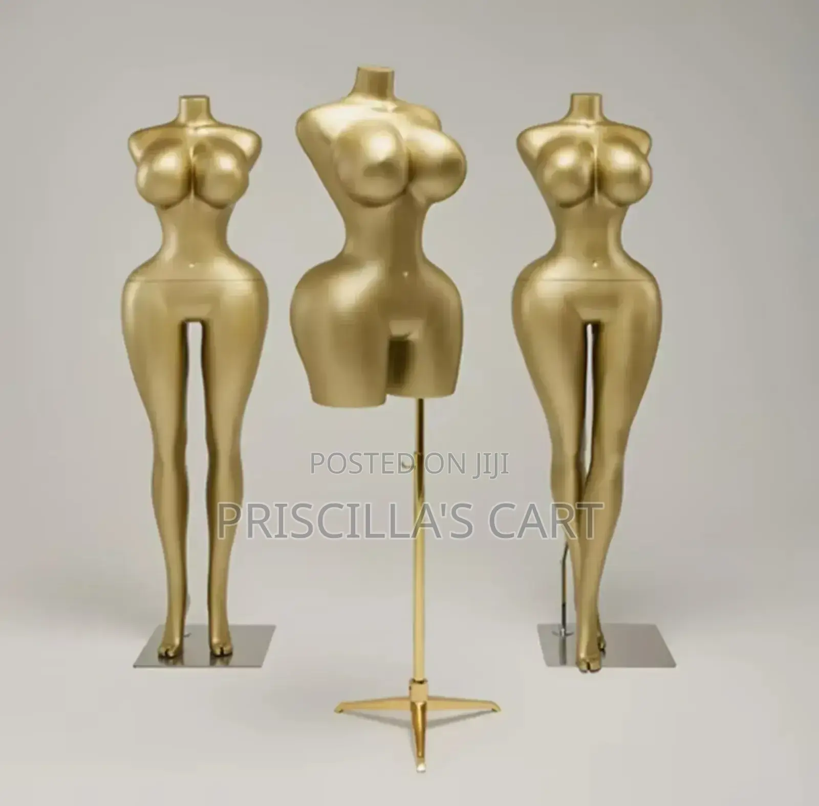 Quality Female Mannequins( Bbl, Torso, Pinnable Mannequins )