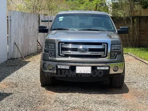 Ford F-150 2013 Gray