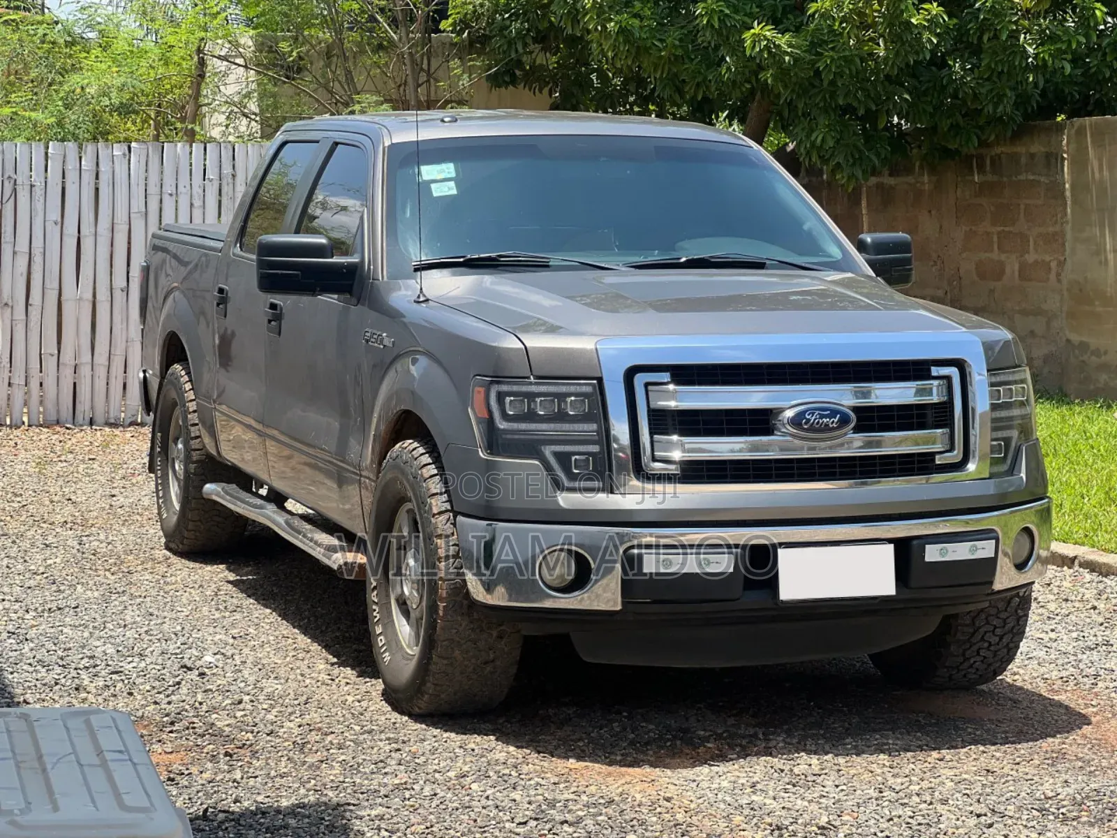 Ford F-150 2013 Gray