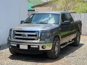 Ford F-150 2013 Gray