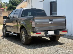 Ford F-150 2013 Gray