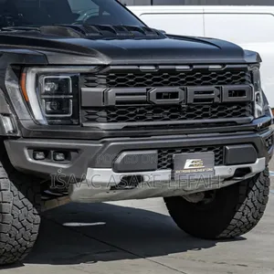 Ford F150 Raptor Front Grill