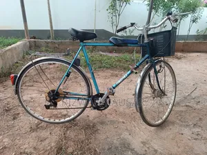 Bicycle Blue