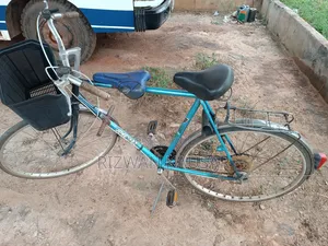 Bicycle Blue
