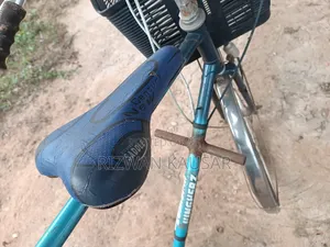 Bicycle Blue
