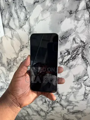 Apple iPhone 15 Pro Max 256 GB