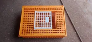 Transporting Basket