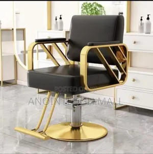 Luxury Salon Chair - Multicolor