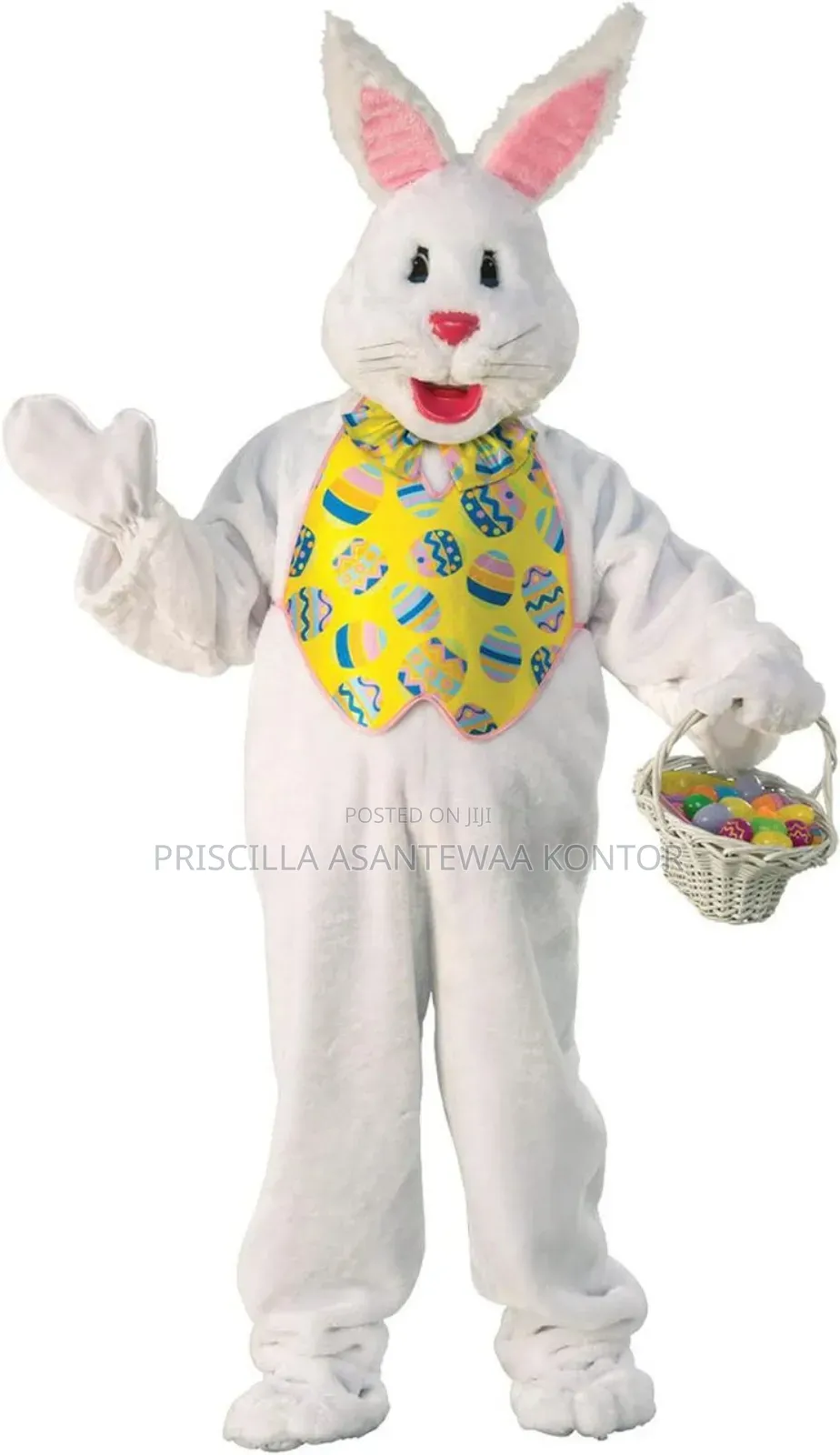 Easter Bunny Mascot Services