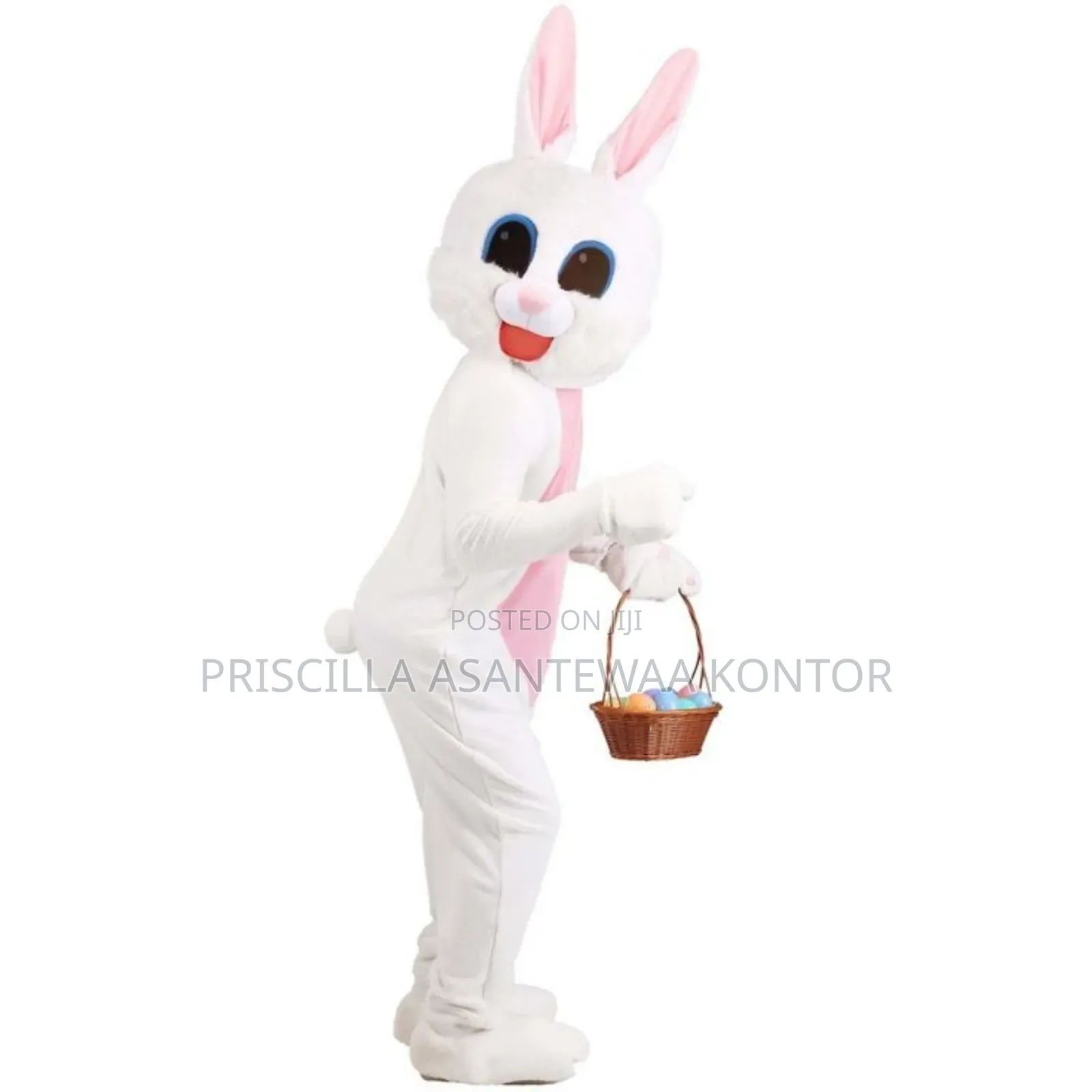 Easter Bunny Mascot Services