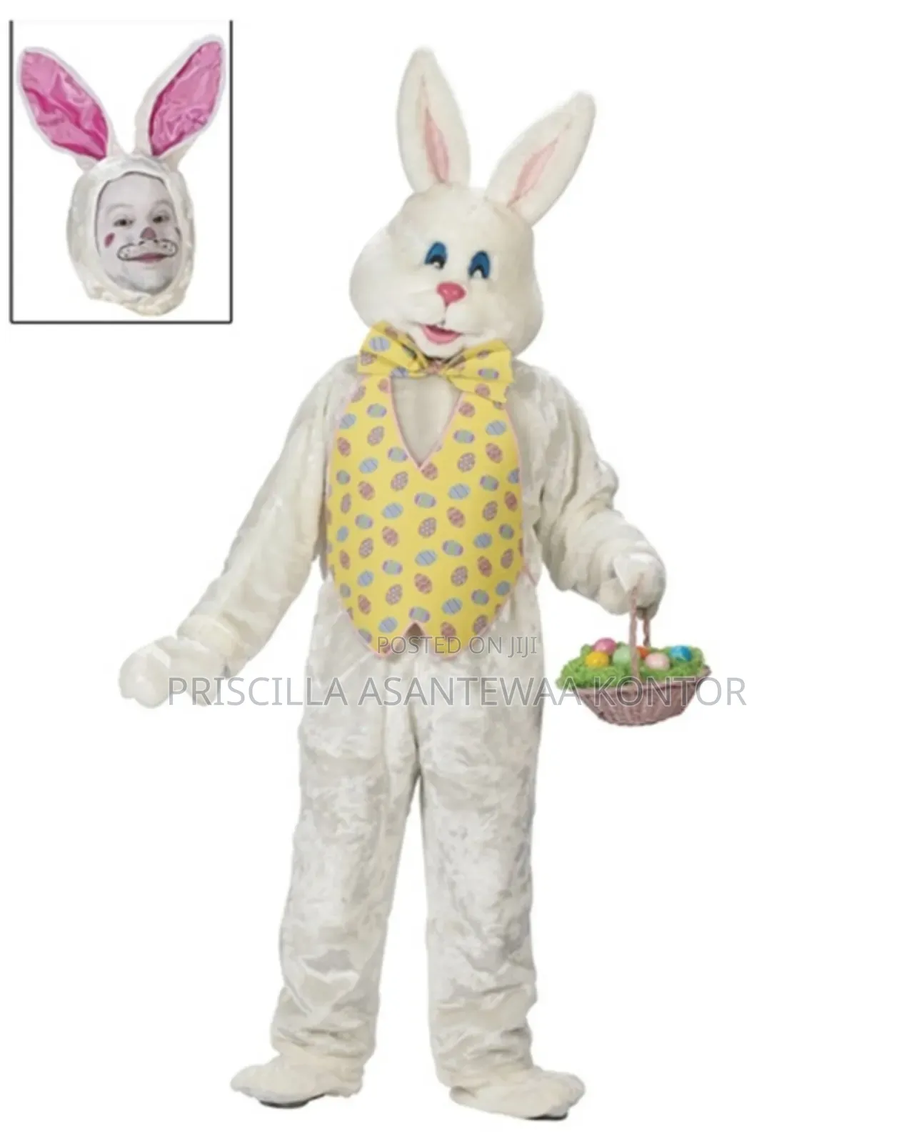 Easter Bunny Mascot Services