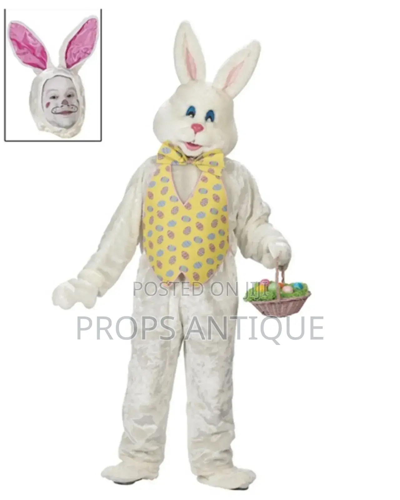 Easter Bunny Mascot Services